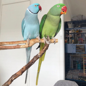 NANA & MARTY
